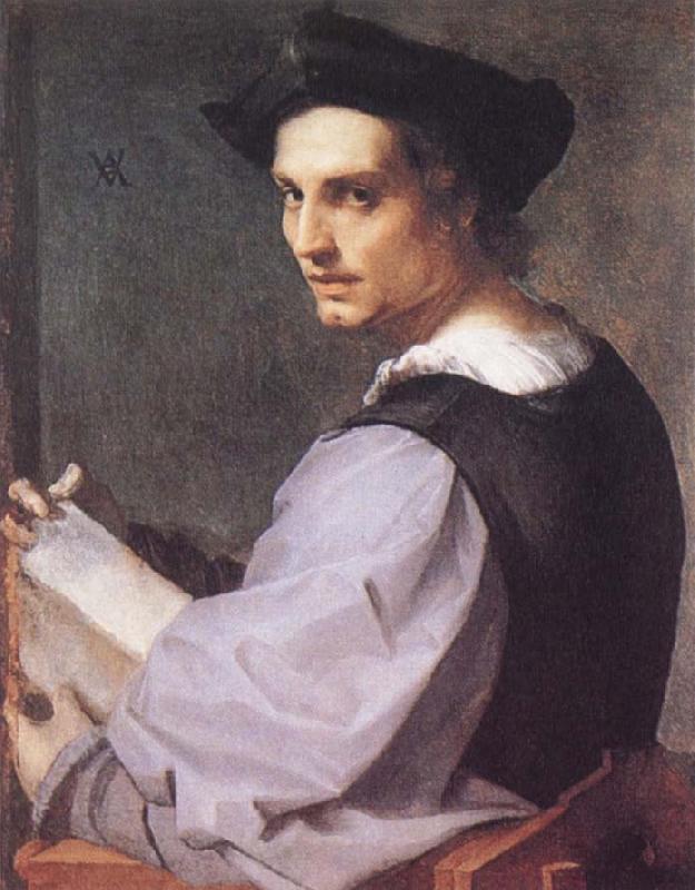 Andrea del Sarto Portrait of a Young Man Sweden oil painting art